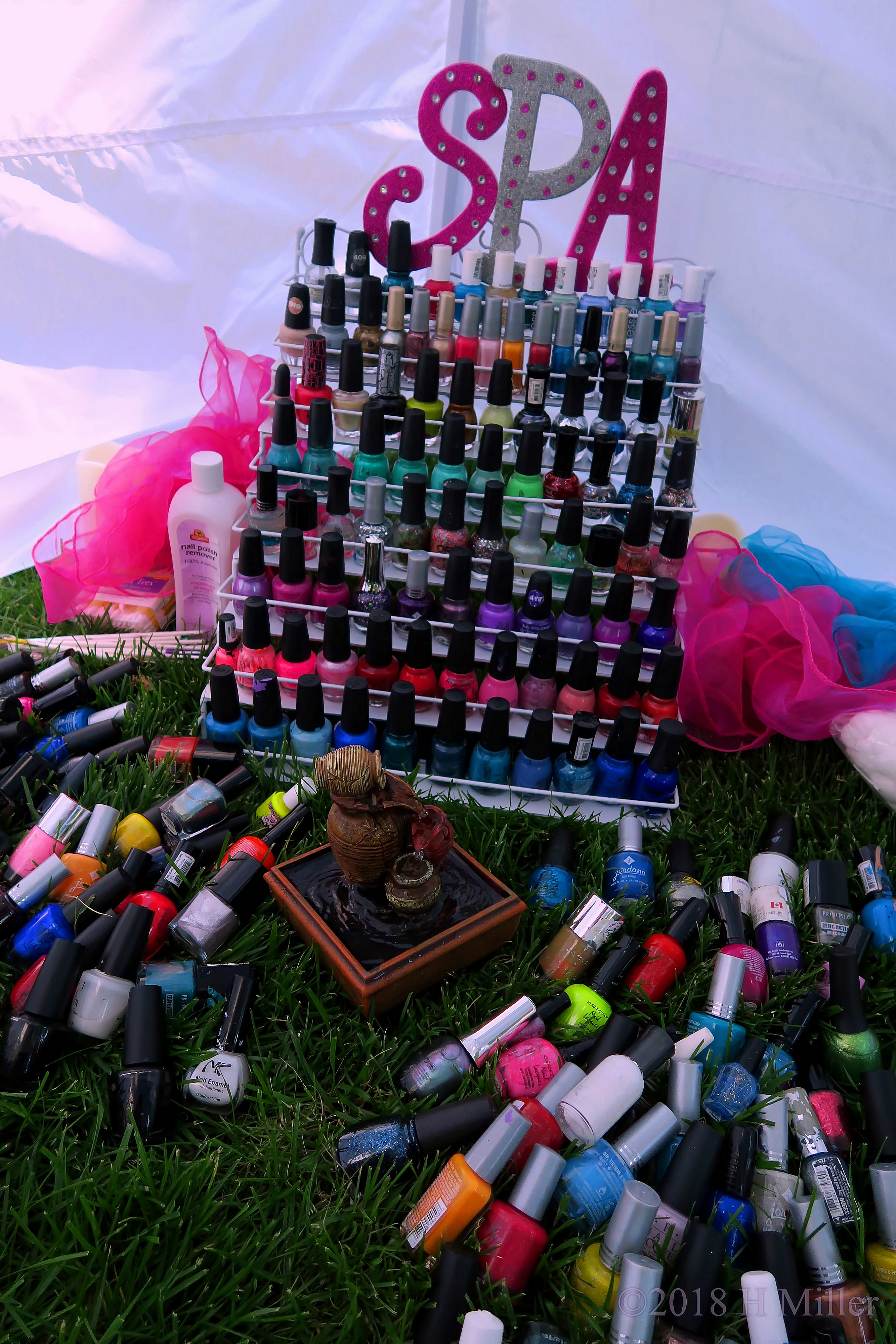 Nail Polish Collection For The Girls Spa Party 