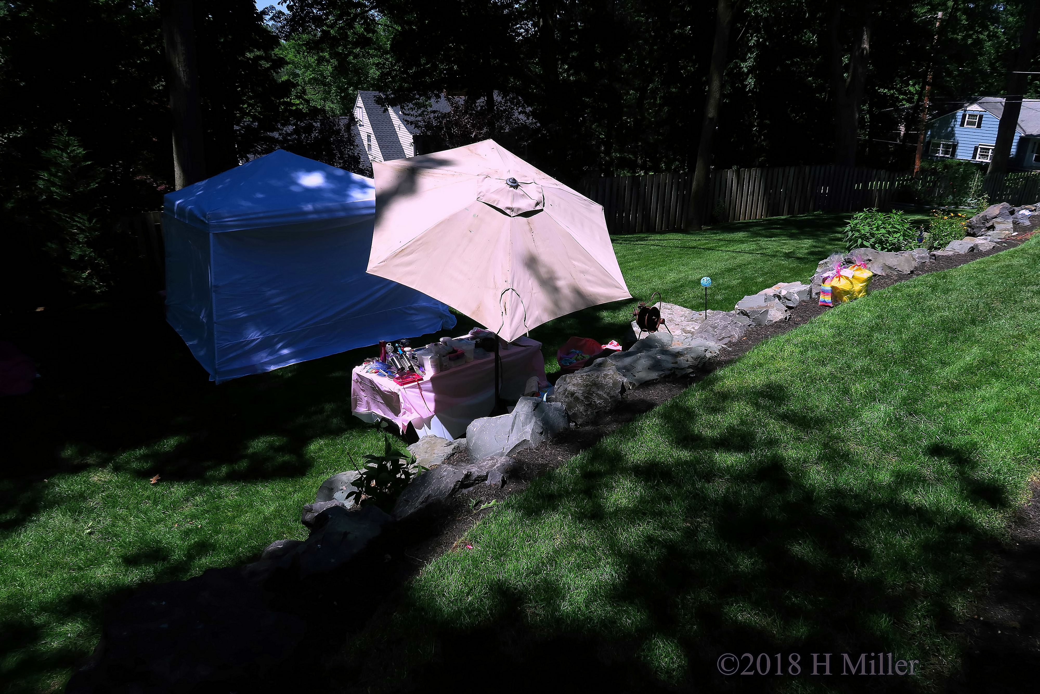 Some Shade From The Sun Some Shade From The Sun