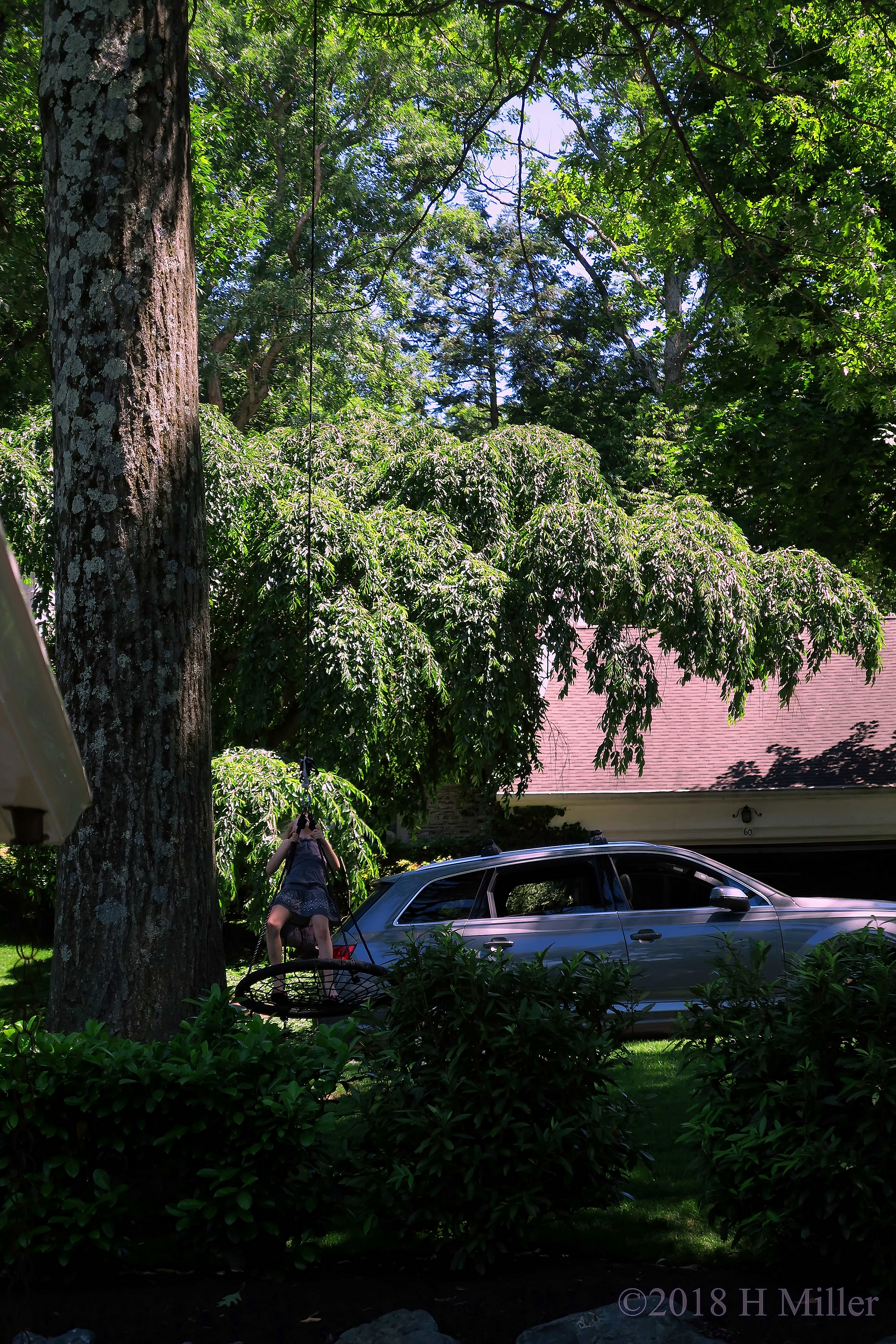 Swinging On The Tree Swing, Waiting For The Fun To Begin. Swinging On The Tree Swing, Waiting For The Fun To Begin.
