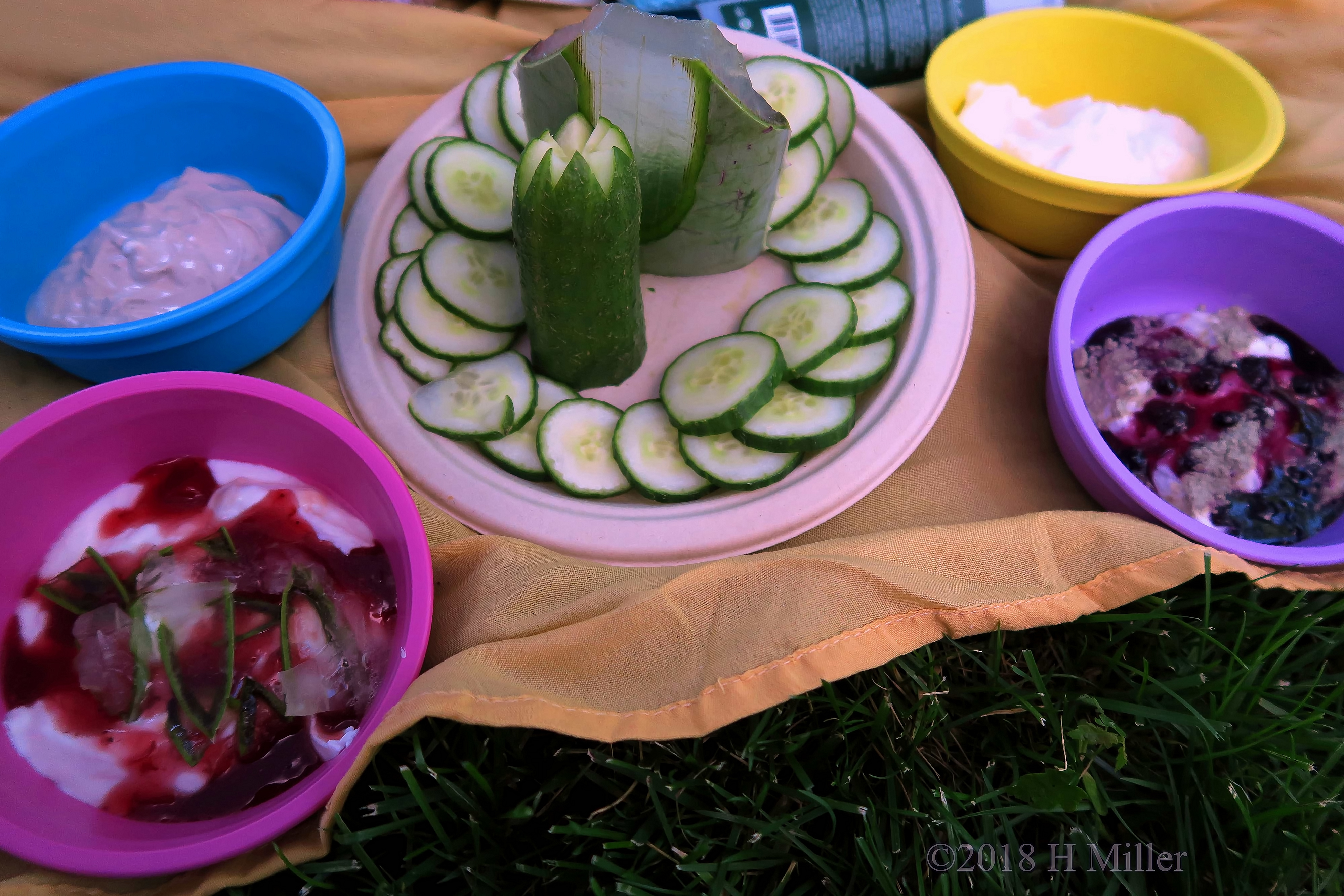 The Supply Of Cucumbers And Homemade Facial Masques For The Girls! The Supply Of Cucumbers And Homemade Facial Masques For The Girls!