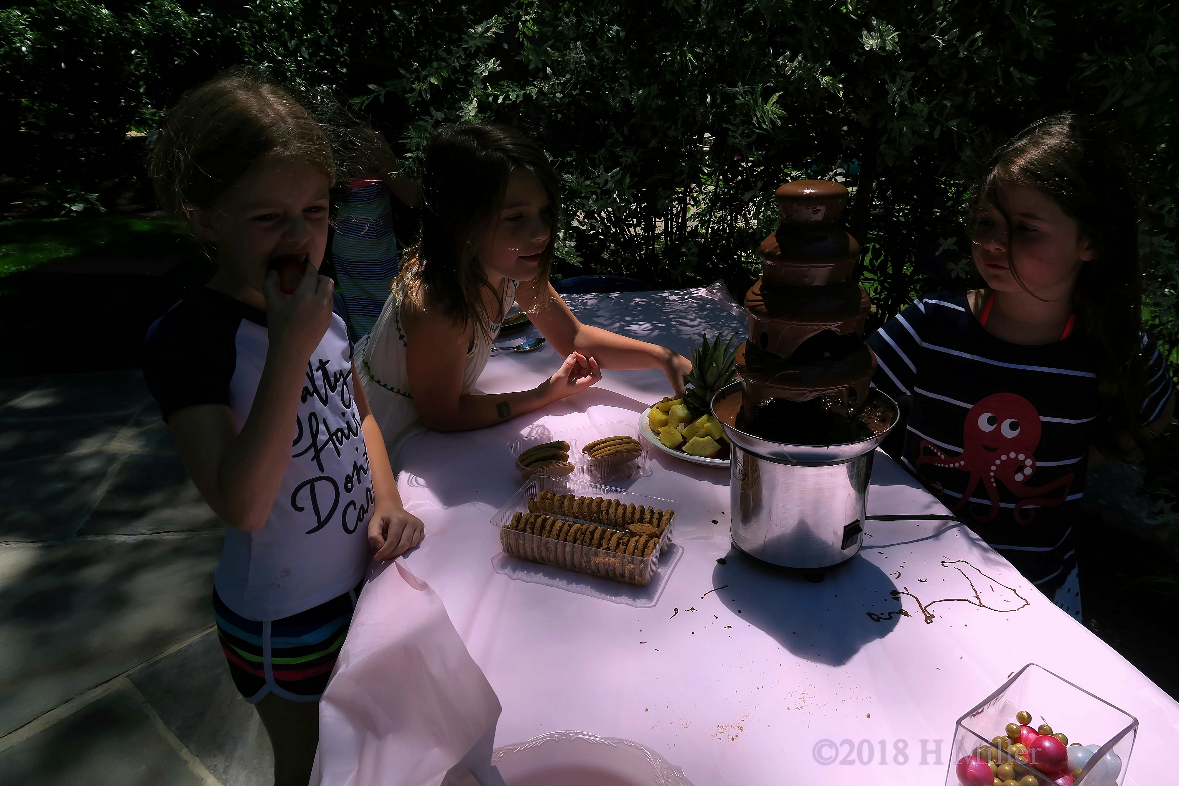 Trying Out Different Options On The Chocolate Fountain 