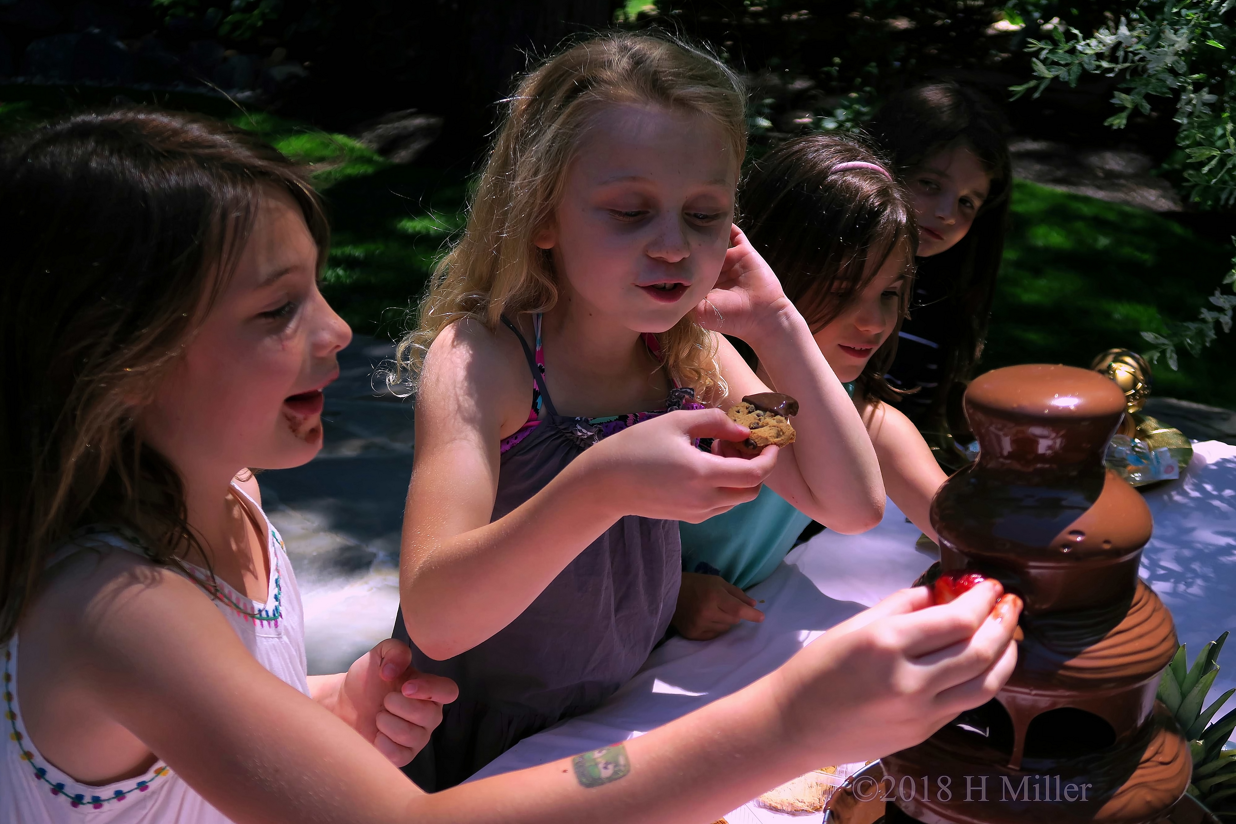 You Can Dip Cookies Or Strawberries Into The Chocolate Fountain! You Can Dip Cookies Or Strawberries Into The Chocolate Fountain!