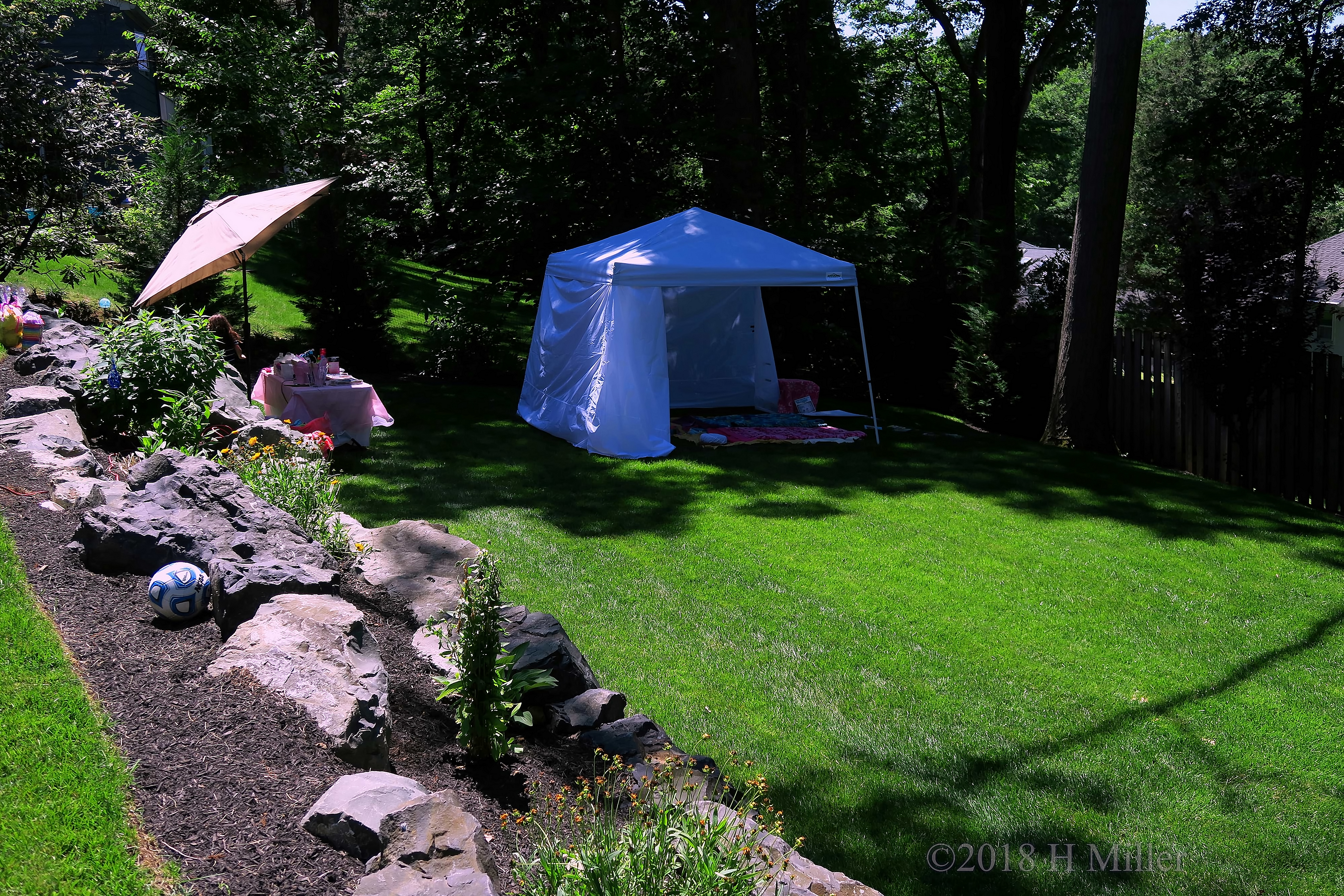 Zoomed Out Party Setup Zoomed Out Party Setup