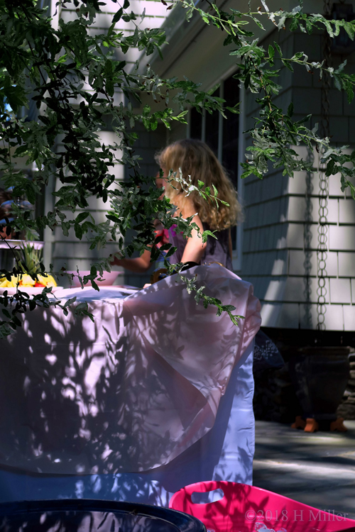Far View Of The Treats Table Before The Party Begins Far View Of The Treats Table Before The Party Begins