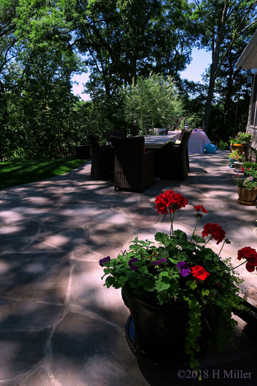 Long Shot Of Party Table Setup Long Shot Of Party Table Setup