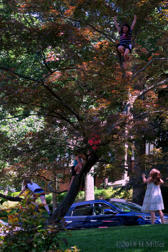 Made It To The Top Excitement Made It To The Top Excitement