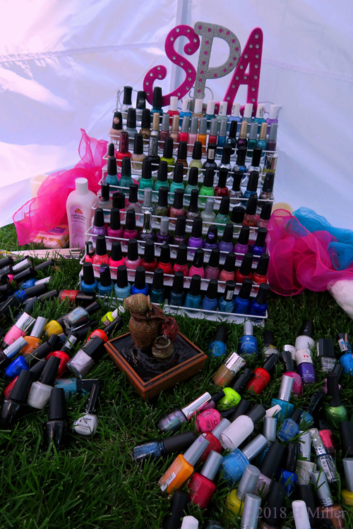 Nail Polish Collection For The Girls Spa Party Nail Polish Collection For The Girls Spa Party