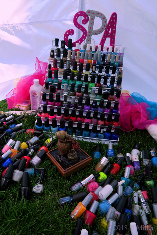 Nail Polish Collection For The Girls Spa Party