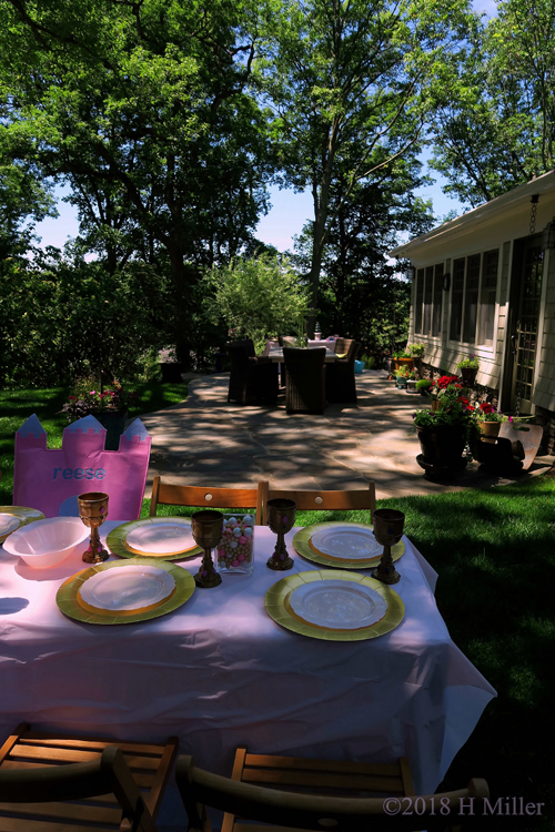 Party Landscape And Birthday Table