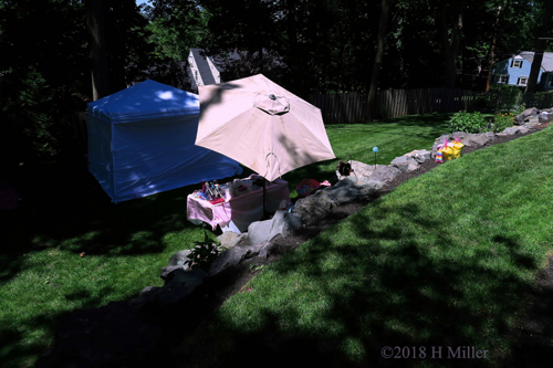 Some Shade From The Sun Some Shade From The Sun