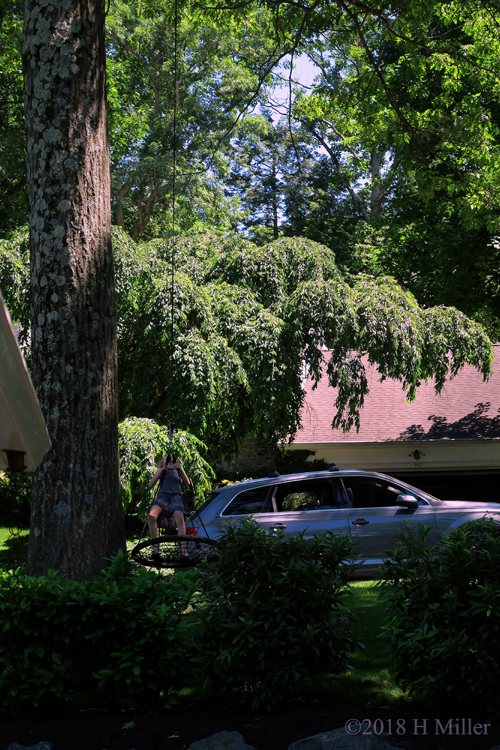 Swinging On The Tree Swing, Waiting For The Fun To Begin. Swinging On The Tree Swing, Waiting For The Fun To Begin.