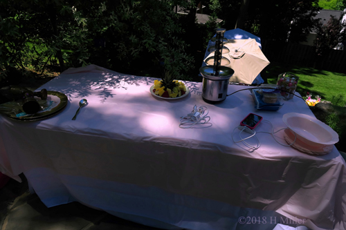 The Fruit Platter And Chocolate Fountain! Soon To Be Yummy!