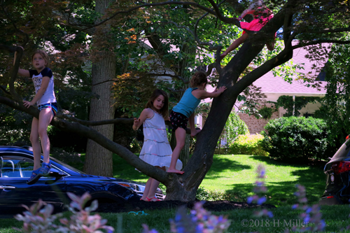 The Party Guests Are Climbing The Trees After Snacktime