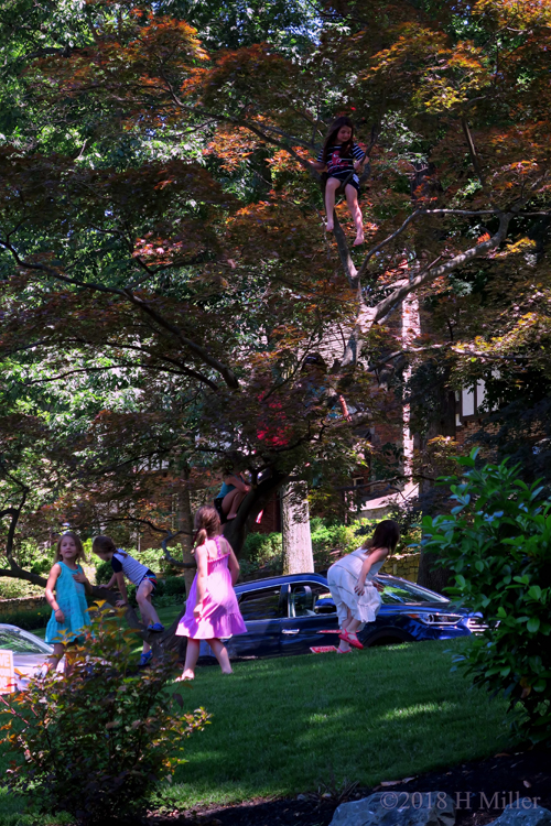 Tree Climbing At All Heights During Playtime Before The Kids Party Starts!