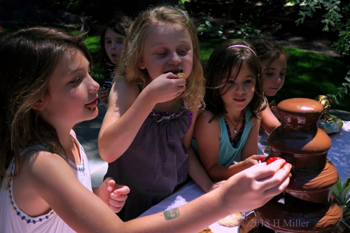 Trying Out All The Options On The Chocolate Fountain Trying Out All The Options On The Chocolate Fountain