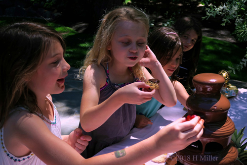 You Can Dip Cookies Or Strawberries Into The Chocolate Fountain! You Can Dip Cookies Or Strawberries Into The Chocolate Fountain!