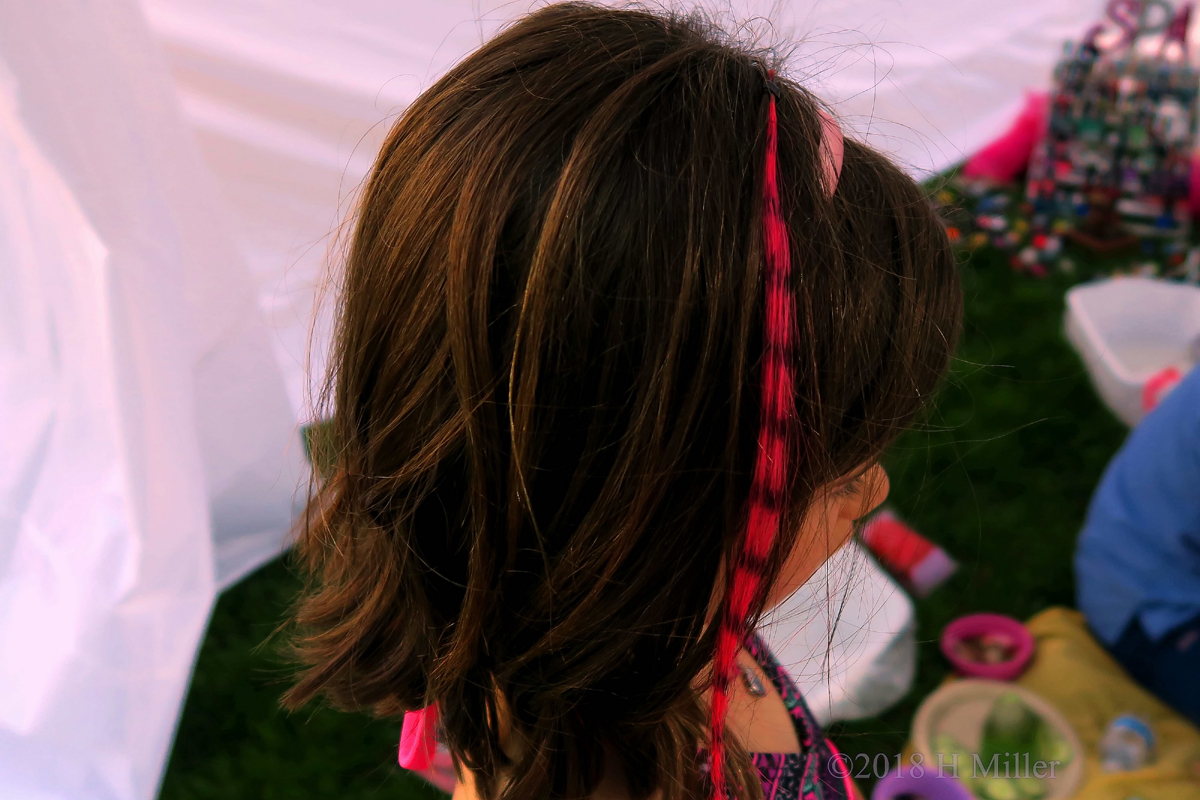 Pink Feather Girls Hairstyle 