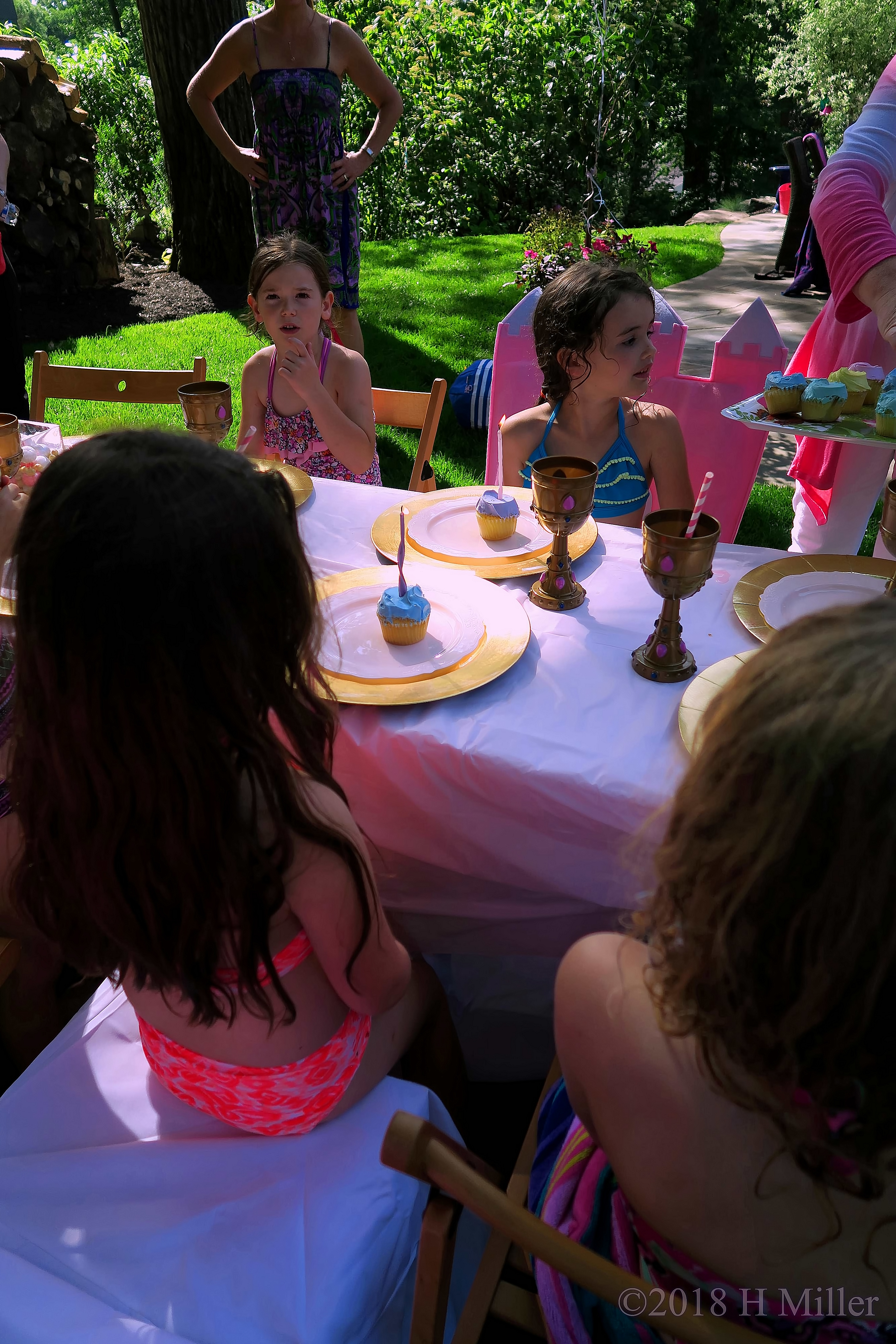 Birthday Cupcakes And Princess Chairs 