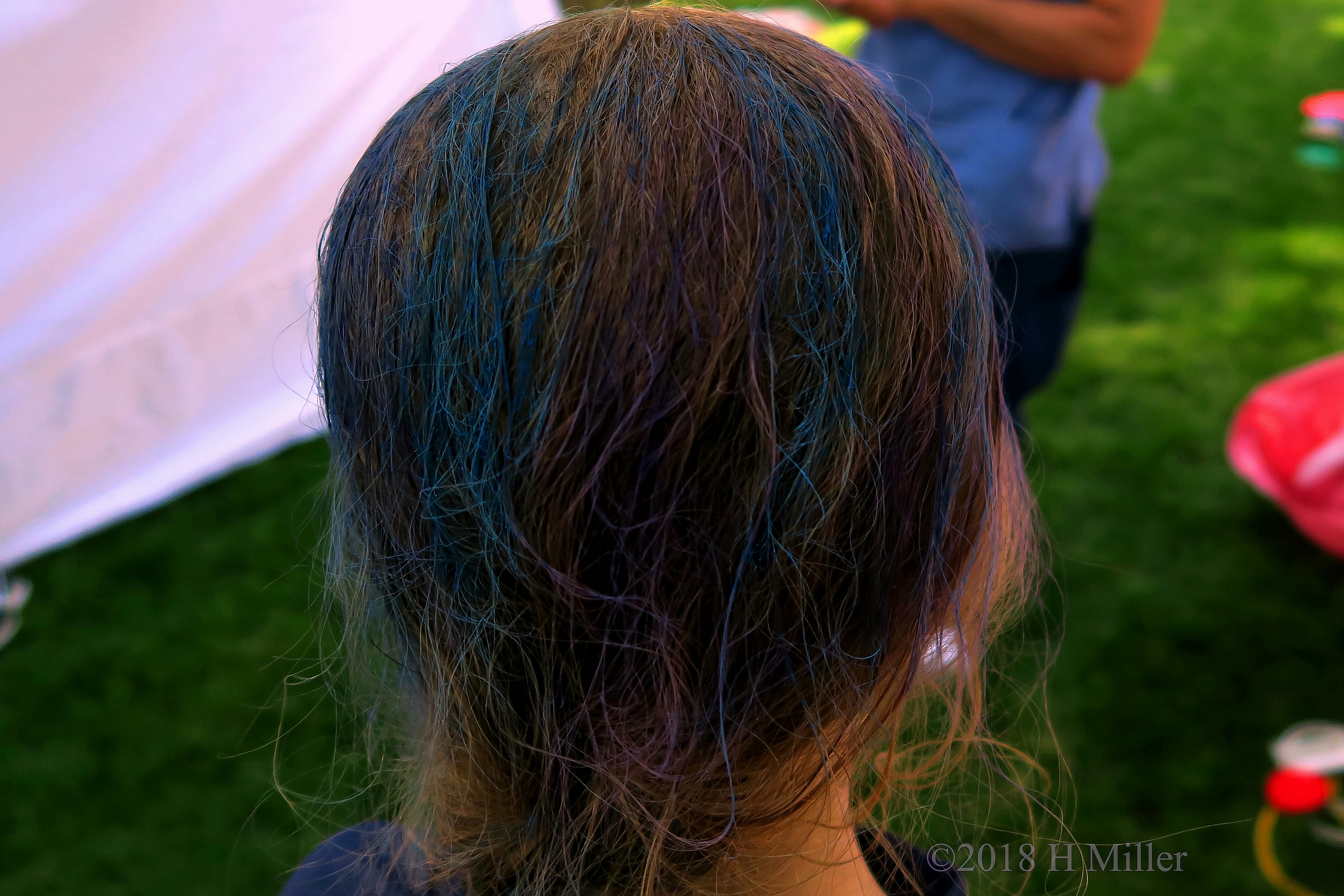 Purple And Blue Hairchalk Fun 