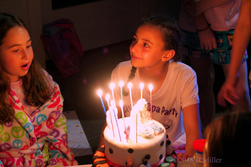 Simply Stunnning Decorated Cake For A Simply Stunning Birthday Party! Simply Stunnning Decorated Cake For A Simply Stunning Birthday Party!