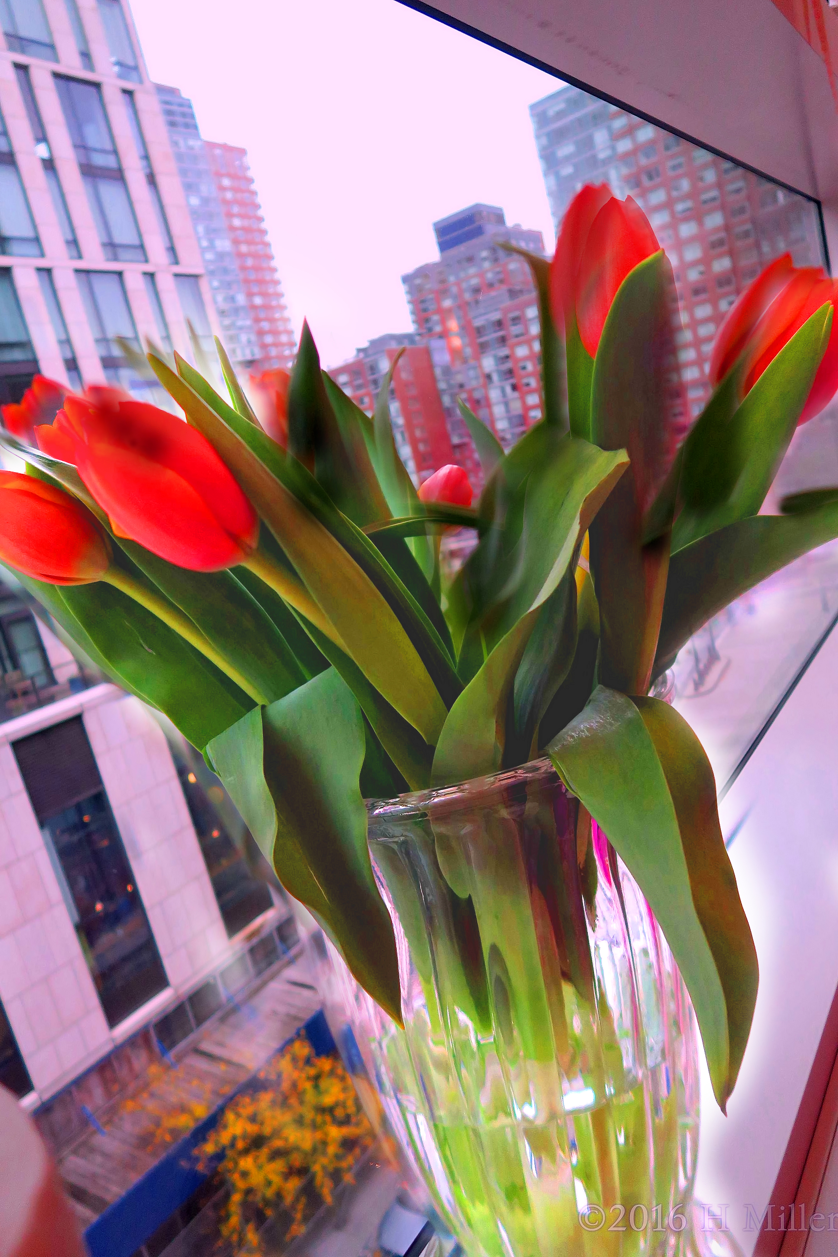 Birthday Flowers With A View Of The City. 
