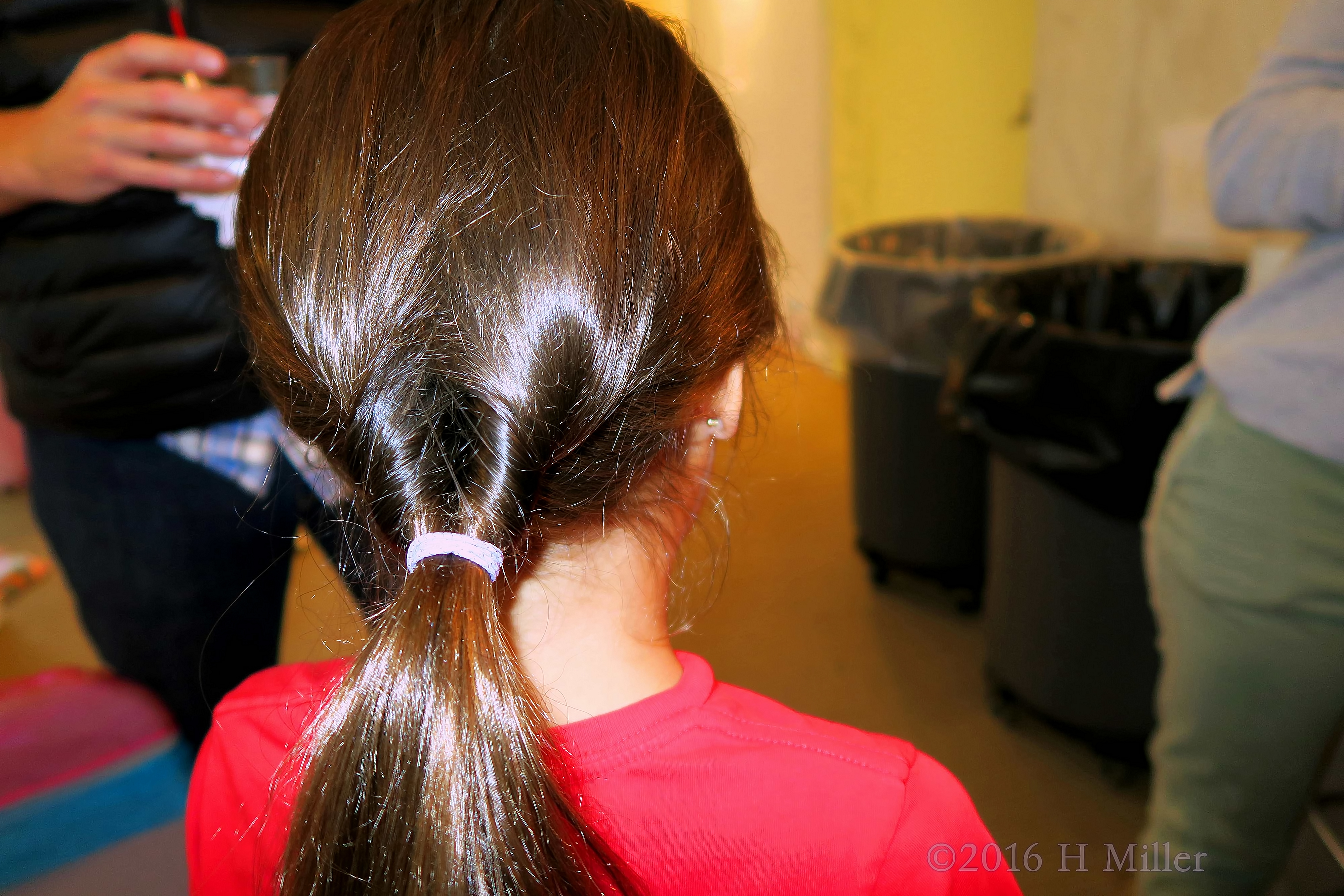 Fishtail Braid And Ponytail Kids Hairstyle.