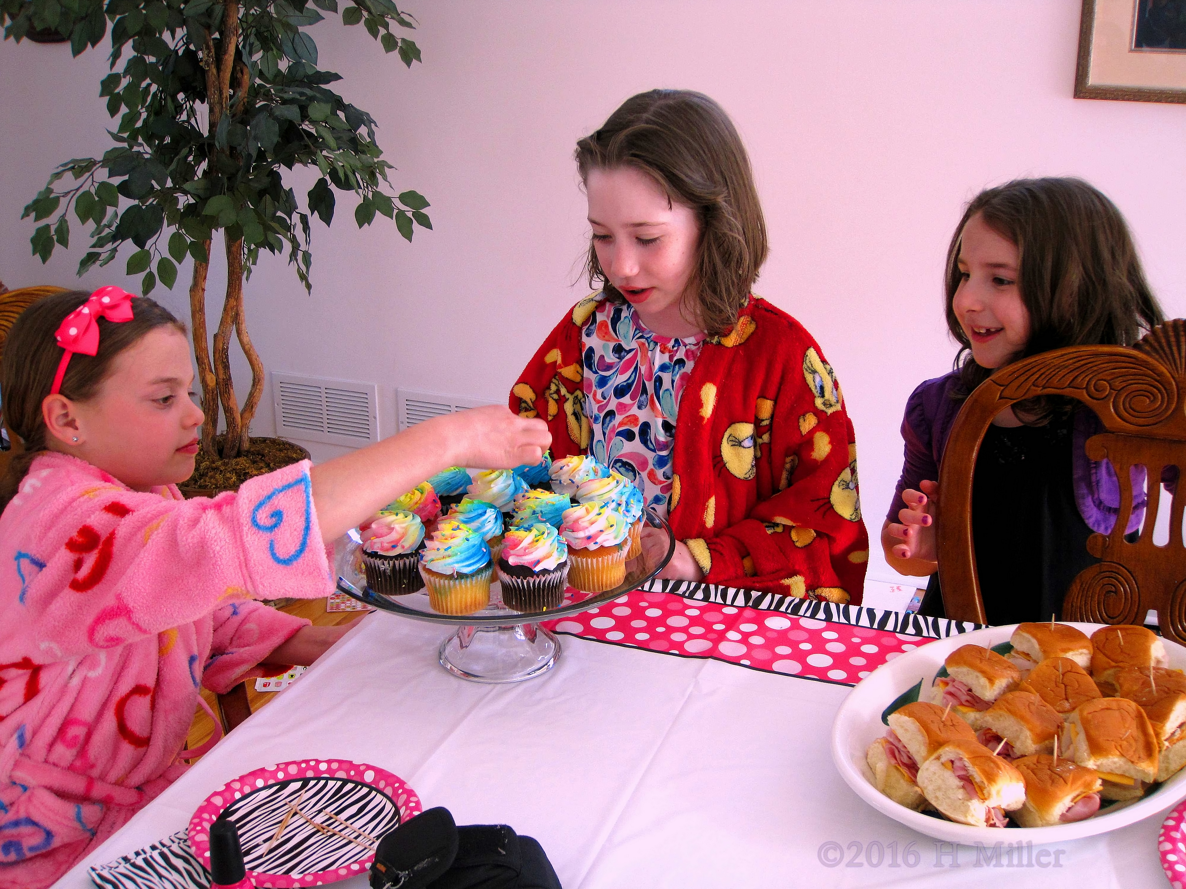 She Is Excited To Eat Those Delicious Cupcakes! She Is Excited To Eat Those Delicious Cupcakes!