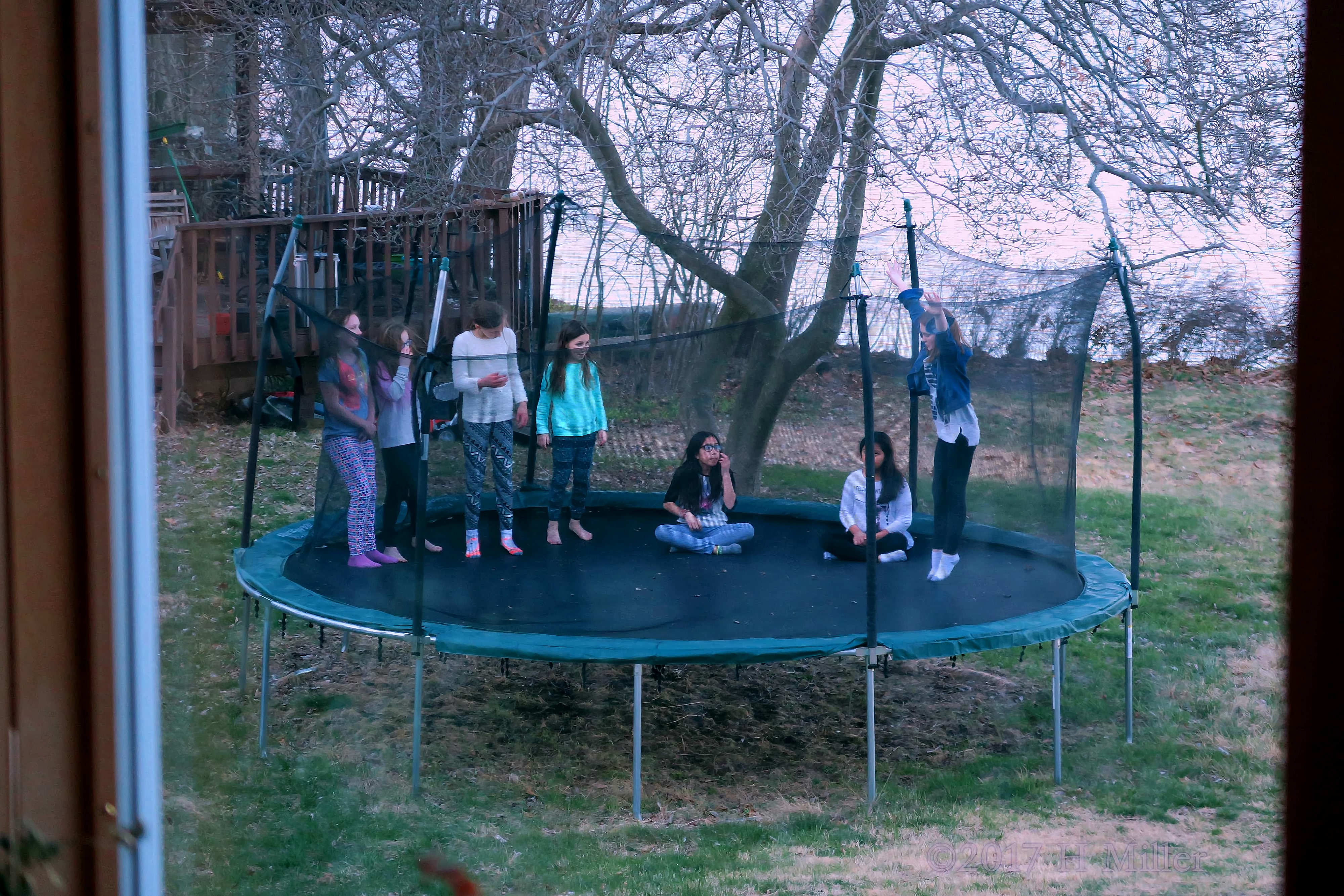 How High Can You Jump! How High Can You Jump!