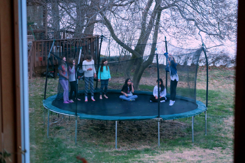 How High Can You Jump How High Can You Jump