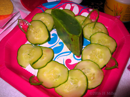 Cucumber And Aloe For Home Facial