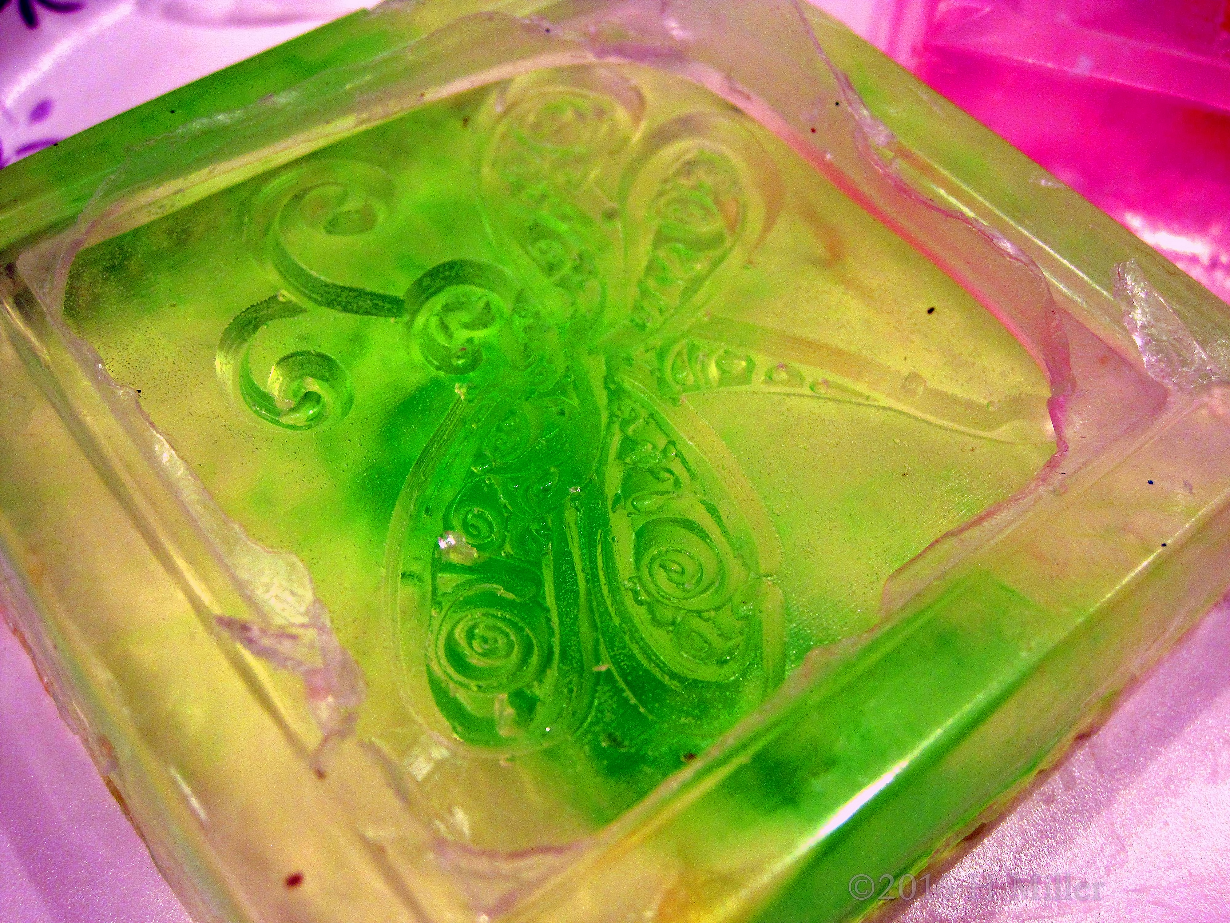 Cool Dragonfly DIY Spa Soap Cool Dragonfly DIY Spa Soap